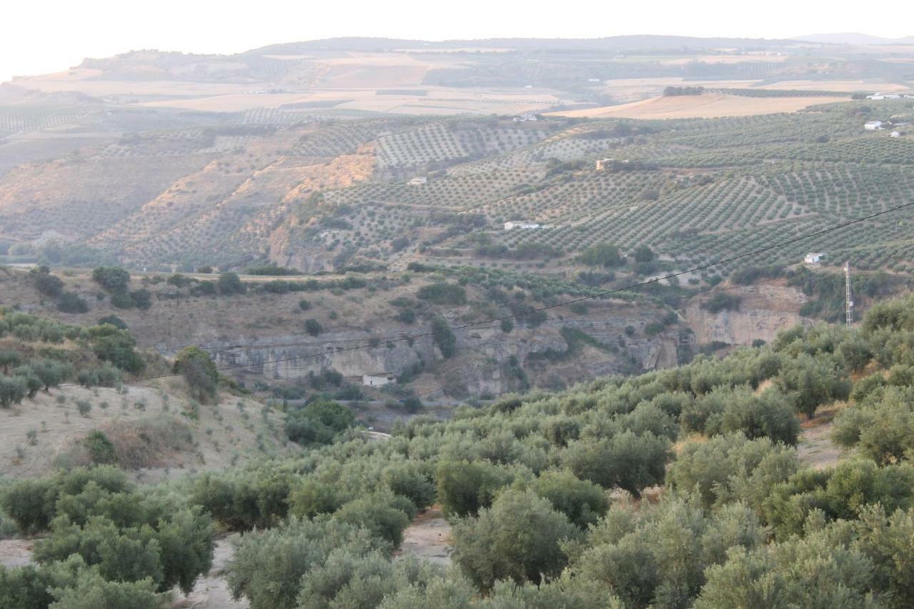 Setenil De Las Bodegas La Casa De La Abuela旅馆 外观 照片